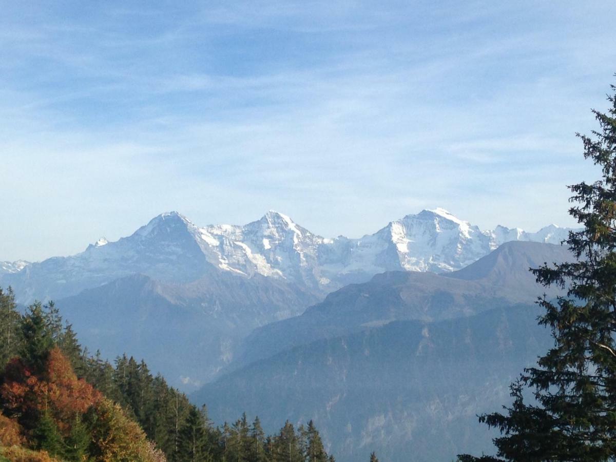 App. Seeblick Top Of Interlaken Beatenberg Kültér fotó