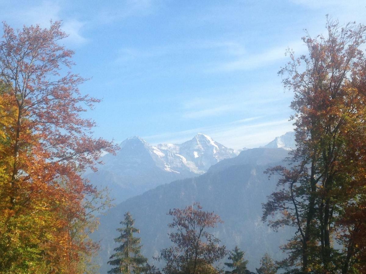 App. Seeblick Top Of Interlaken Beatenberg Kültér fotó
