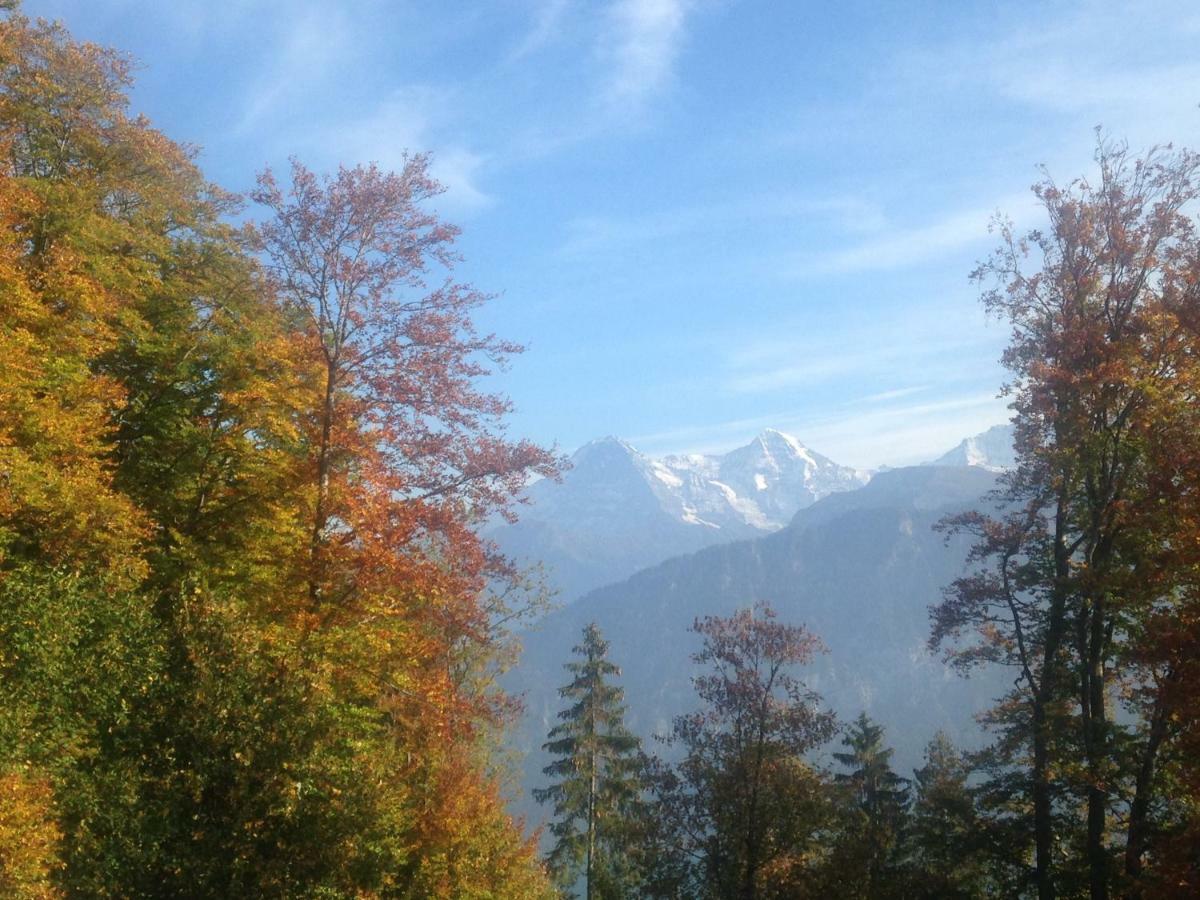 App. Seeblick Top Of Interlaken Beatenberg Kültér fotó