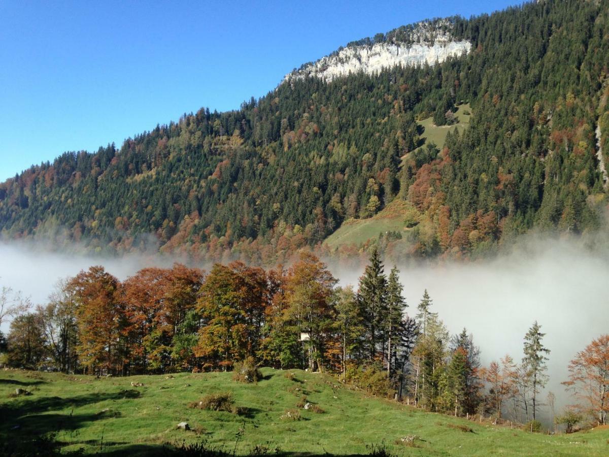 App. Seeblick Top Of Interlaken Apartman Beatenberg Kültér fotó