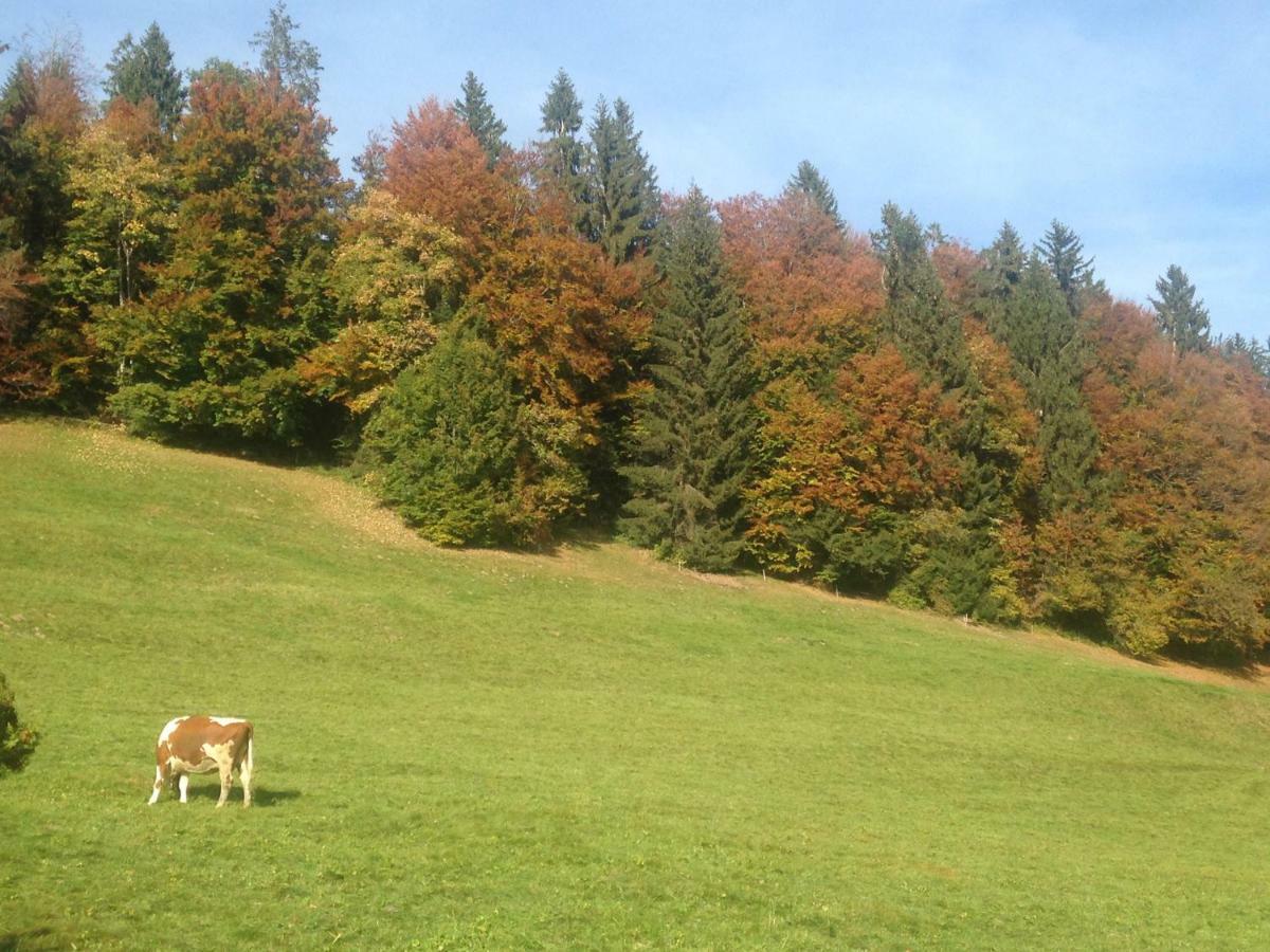 App. Seeblick Top Of Interlaken Beatenberg Kültér fotó