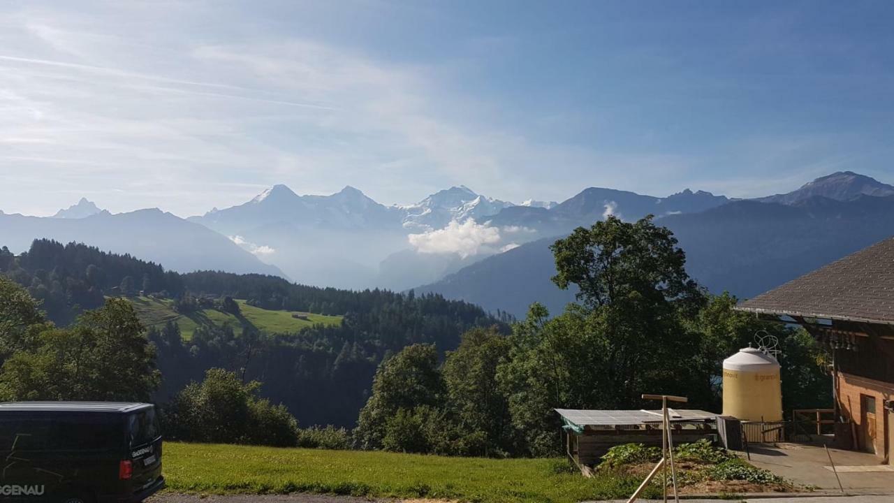App. Seeblick Top Of Interlaken Beatenberg Kültér fotó